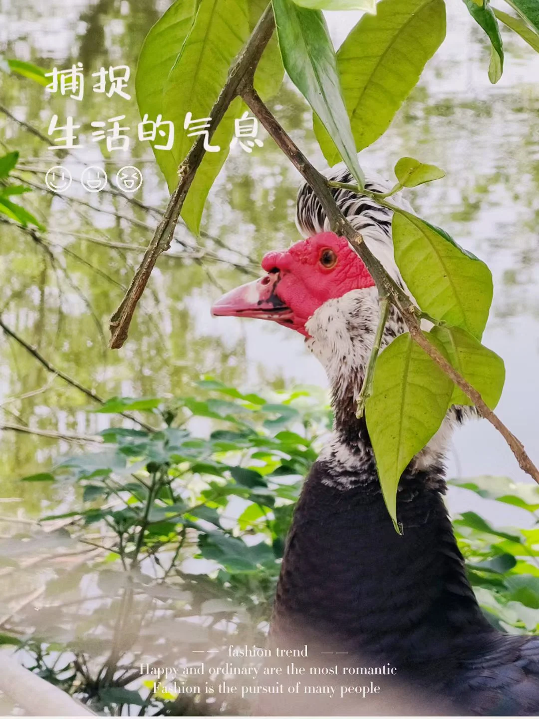 摄影 17